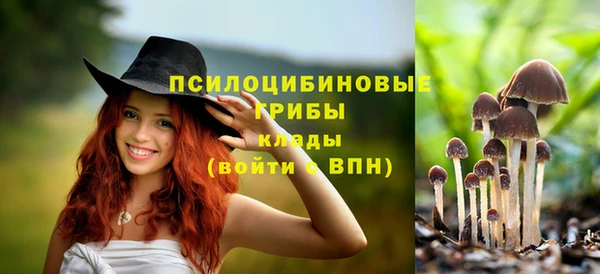 ешки Арсеньев