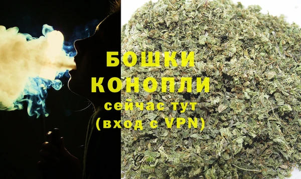 сатива Бабаево