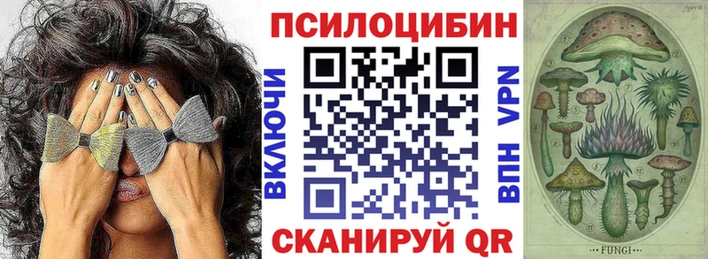 Галлюциногенные грибы мицелий  Барыш 